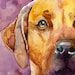 see more listings in the Hound Prints section