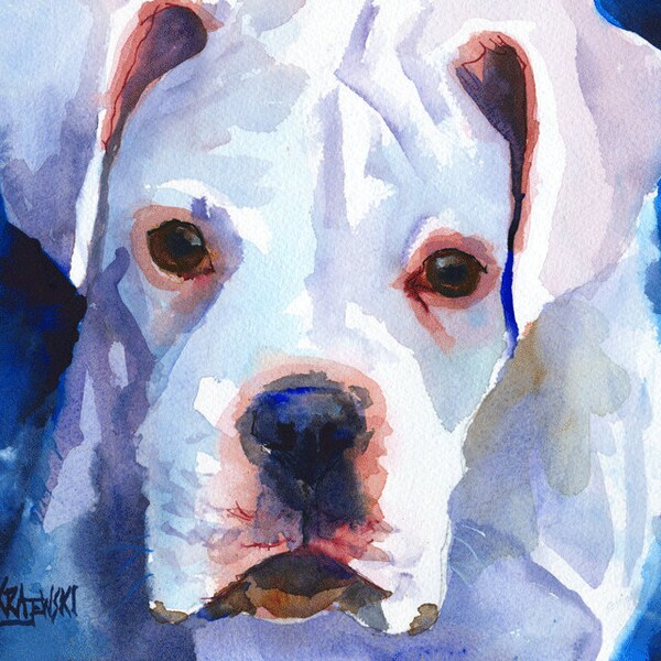 White Boxer Art Print of Original Watercolor Painting - 8x10