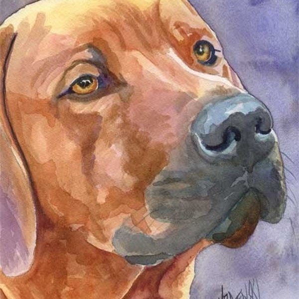 Rhodesian Ridgeback Art Print of Original Watercolor Painting - 11x14