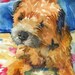 see more listings in the Terrier Prints section