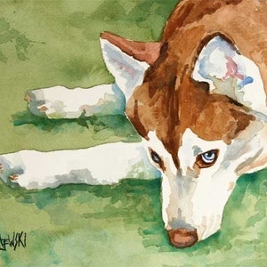 Siberian Husky Art Print of Original Watercolor Painting - 11x14