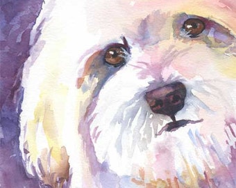 Havanese Art Print of Original Watercolor Painting - Dog Art 8x10