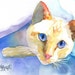 see more listings in the Cats and Misc Art Prints section