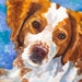 see more listings in the Sporting Dog Prints section