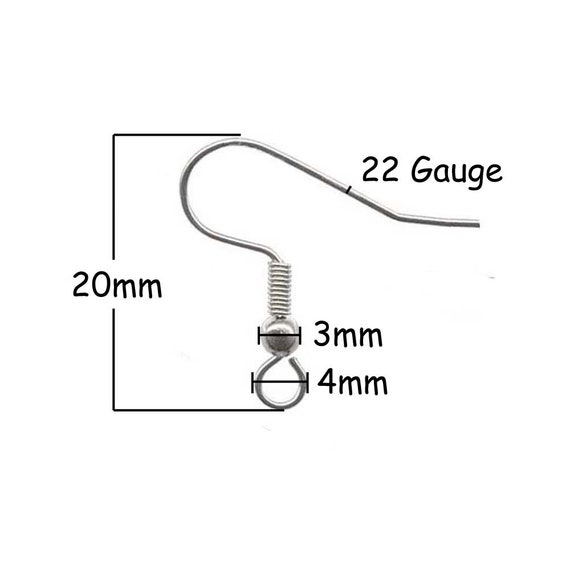  Stainless Steel Fish Hook Earring Findings Wires for Jewelry  Making- Hypoallergenic (21 Gauge, 20mm)