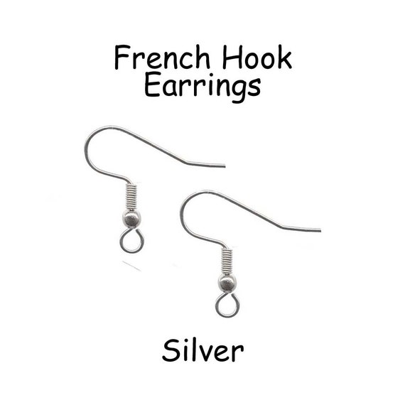 Hypoallergenic Surgical 316L Stainless Steel French Hook Earrings, Fish  Hook Earring Wires Silver SEE COUPON 