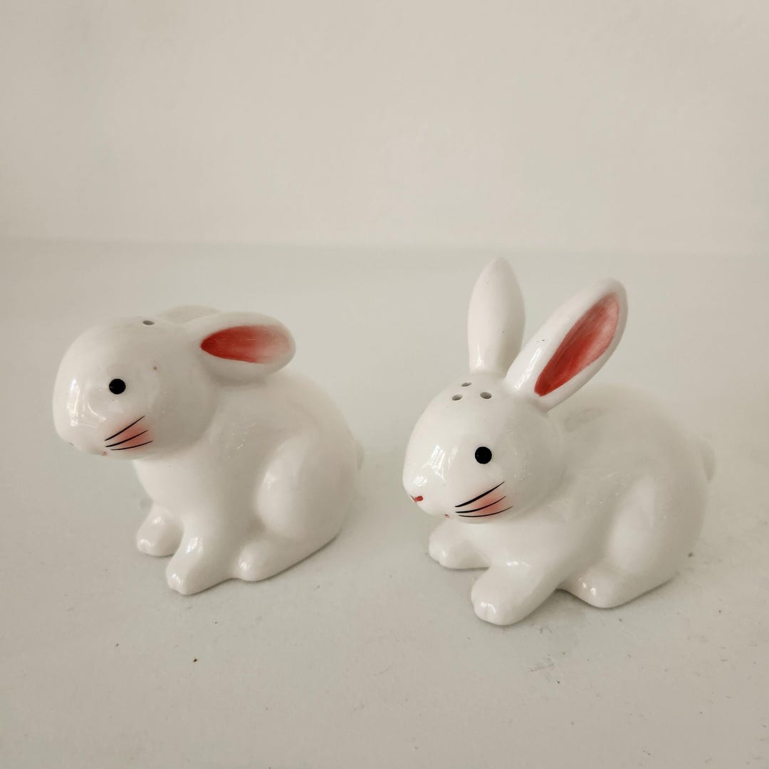 Salt Rabbit Ceramic Bunny Rabbit Salt and Pepper Shakers - Etsy