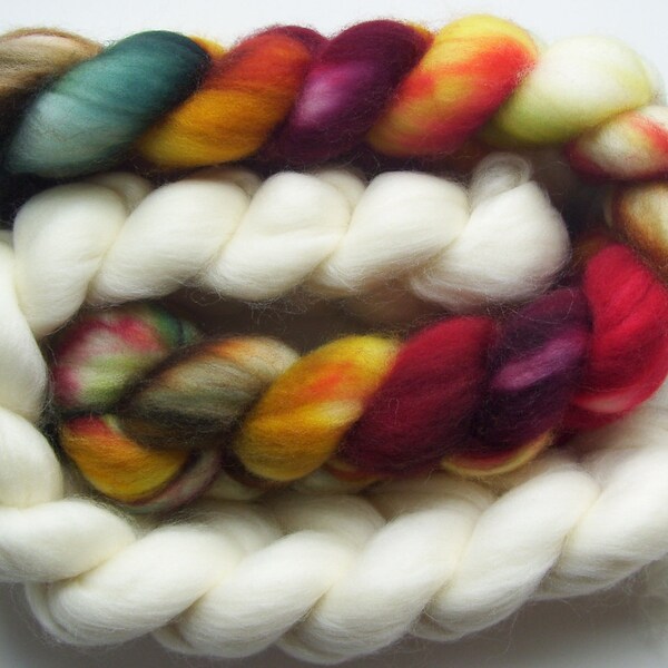 Spin-Your-Own Mittens Kit - Hand dyed SW Merino - Stronghold - 5oz