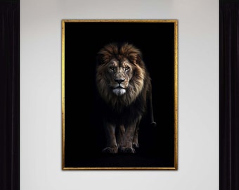 May include: A black and white photograph of a lion with a dark mane, standing in a dark room. The lion is looking directly at the camera.