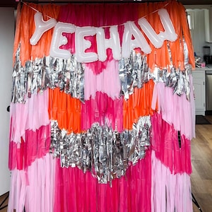 Fringe Party Backdrop