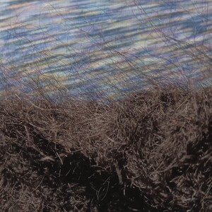 Op de afbeelding: Abstracte afbeelding met een getextureerde, donkerbruine, grasachtige voorgrond met dunne strengen. De achtergrond toont een wazig, blauw-wit, waterachtig patroon, waardoor een contrast van texturen en kleuren ontstaat.