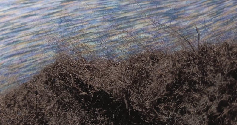 Op de afbeelding: Abstracte afbeelding met een getextureerde, donkerbruine, grasachtige voorgrond met dunne strengen. De achtergrond toont een wazig, blauw-wit, waterachtig patroon, waardoor een contrast van texturen en kleuren ontstaat.