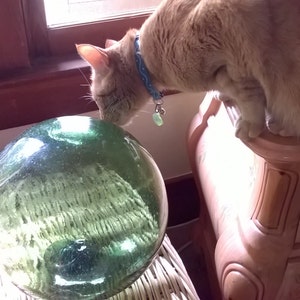 May include: An orange tabby cat with a blue collar and a small charm sniffs a large, green glass sphere. The sphere sits on a white wicker surface, with a wooden cabinet and window in the background.