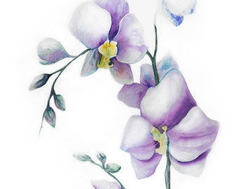 Digital art image download printable Orchid  wall art decor