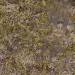 Expressions Batiks Hand-Dyes Brown Multi 2