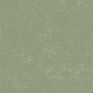National Parks Topographic Green