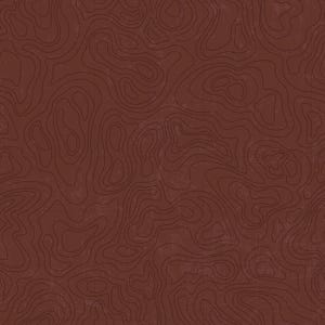 National Parks Topographic Brown