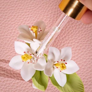 Op de afbeelding: Een heldere glazen druppelaar met een gouden dop geeft vloeistof af op witte bloemen met gele centra en rode accenten. De bloemen liggen op een roze, getextureerd oppervlak, wat wijst op een huidverzorgings- of schoonheidsproduct.