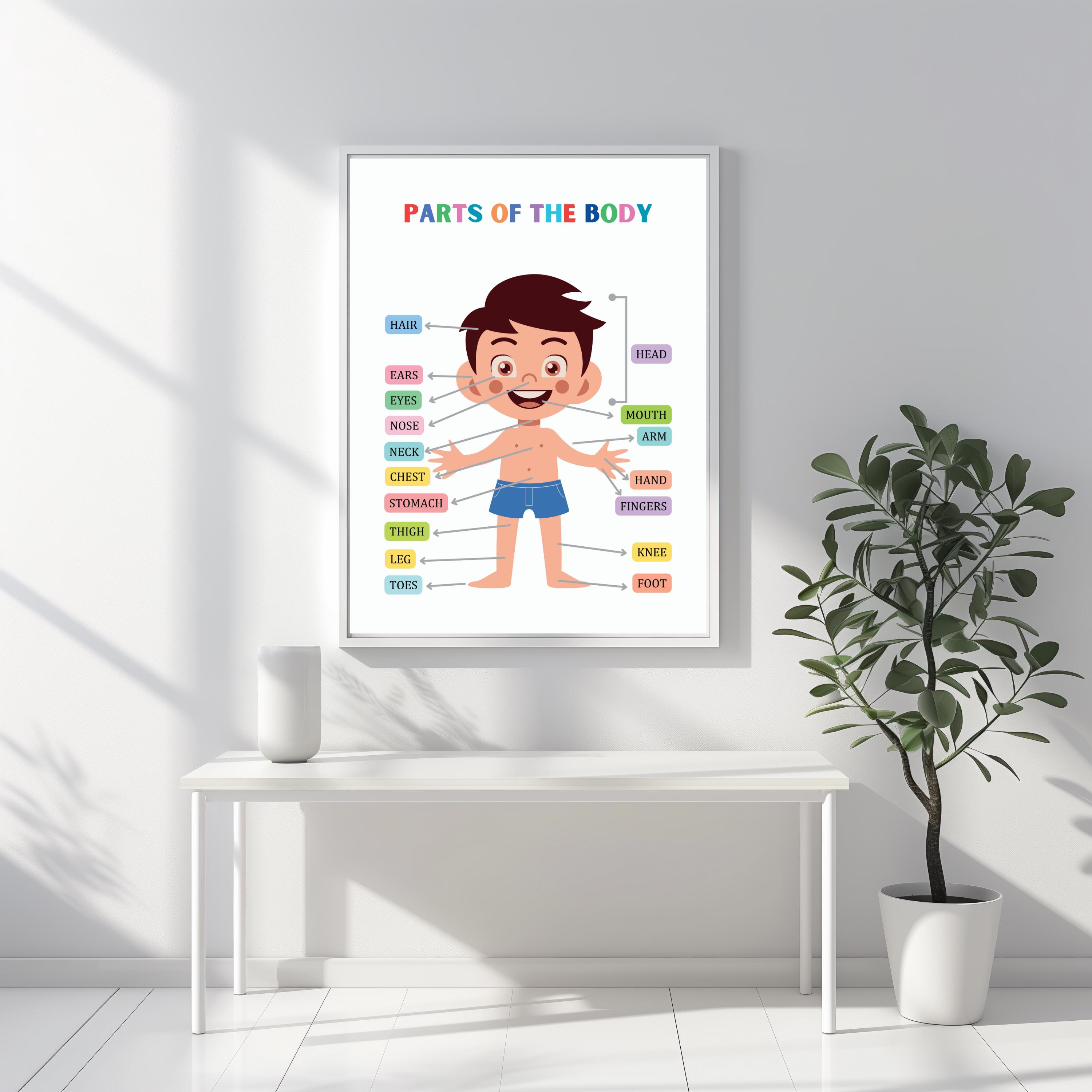 Body Parts Poster, Body Parts for Kids, Body Parts Printable Wall Art ...