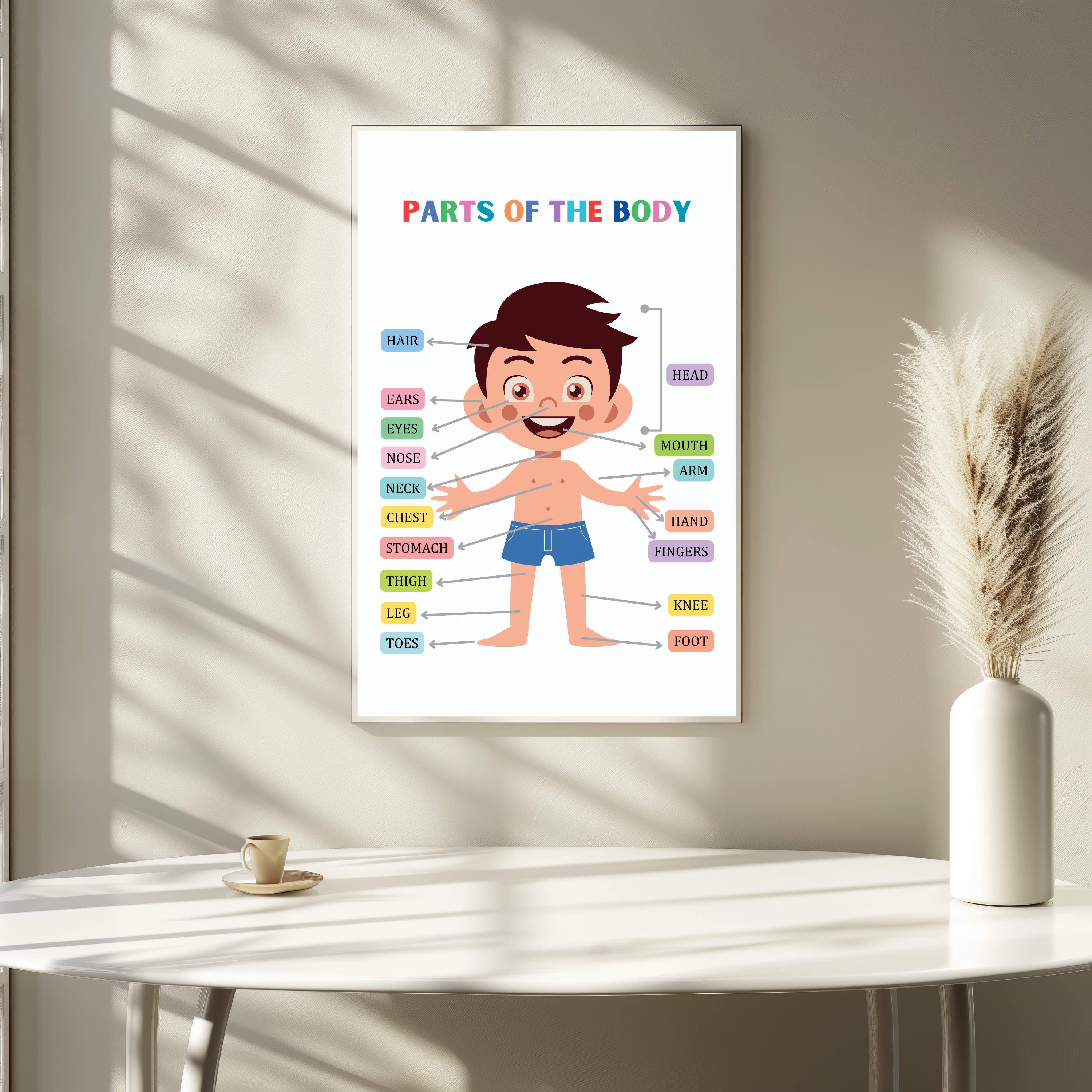 Body Parts Poster, Body Parts for Kids, Body Parts Printable Wall Art ...