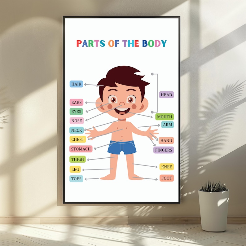 Body Parts Poster, Body Parts for Kids, Body Parts Printable Wall Art ...