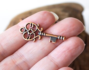 May include: A small, ornate bronze key with a decorative, swirling design on the head. The key has a rectangular keyhole and a ridged handle. The key is a vintage style and is likely used for jewelry making or crafting.