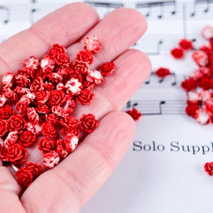 May include: A hand holding a large quantity of small red and white rose-shaped beads. The beads are scattered on a white surface with music notes printed on it. The text "Solo Supplies" is printed on the surface.