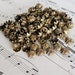 20 Fancy Beadcaps in Antiqued Bronze 10mm