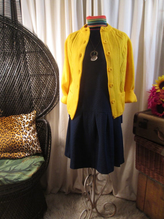 60s vintage Dropwaist Dress Pleated skirt sleevel… - image 5
