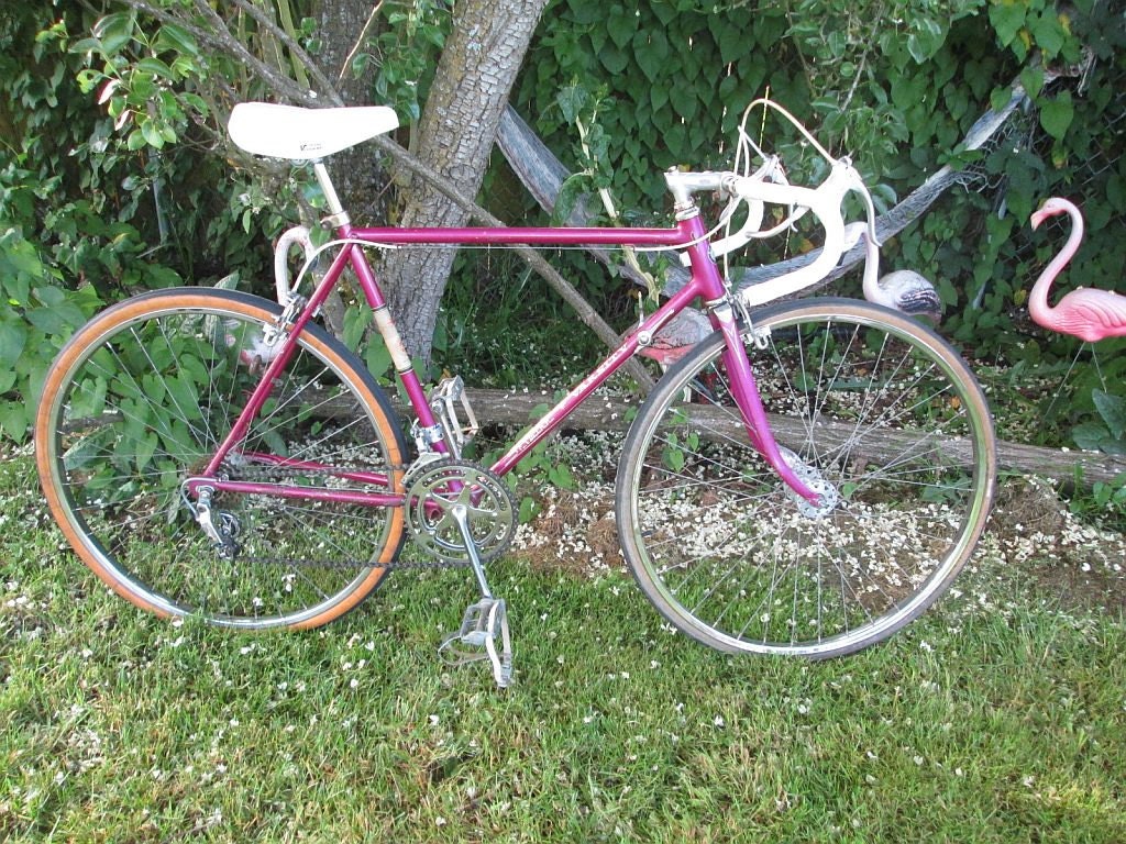 Purple 60's Schwinn Bikes Vintage Schwinn Varsity 10 Speed