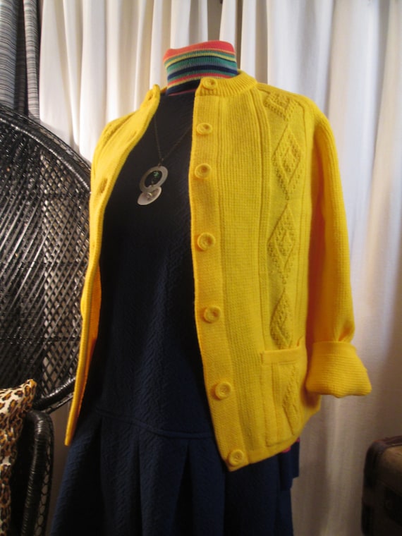 60s vintage Dropwaist Dress Pleated skirt sleevel… - image 6