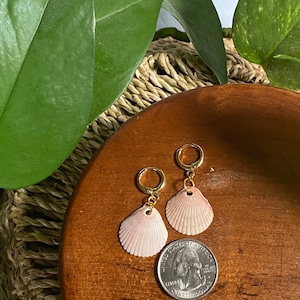 Op de afbeelding: Een paar gouden creolen met roze schelpbedels. De oorbellen worden getoond op een houten oppervlak met een Amerikaanse kwart dollar voor schaal.