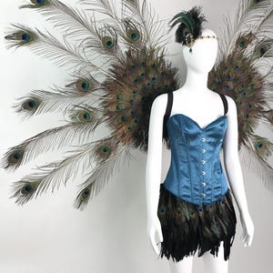May include: A blue satin corset with a front busk closure, paired with a black feather skirt and large, expansive peacock feather wings. A matching headpiece features a small peacock feather plume and a decorative jewel accent.