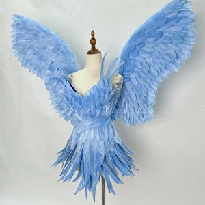 Asas de penas azuis glaciais: Fantasia de anjo, Passarela de cosplay