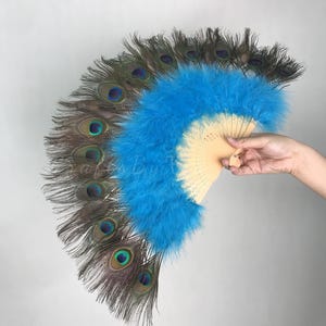 May include: A hand fan featuring a light wood frame and a vibrant blue feather center, bordered by a row of natural peacock feathers with distinct iridescent eye patterns. The fan is fully extended, showcasing the contrast between the bright blue plumage.