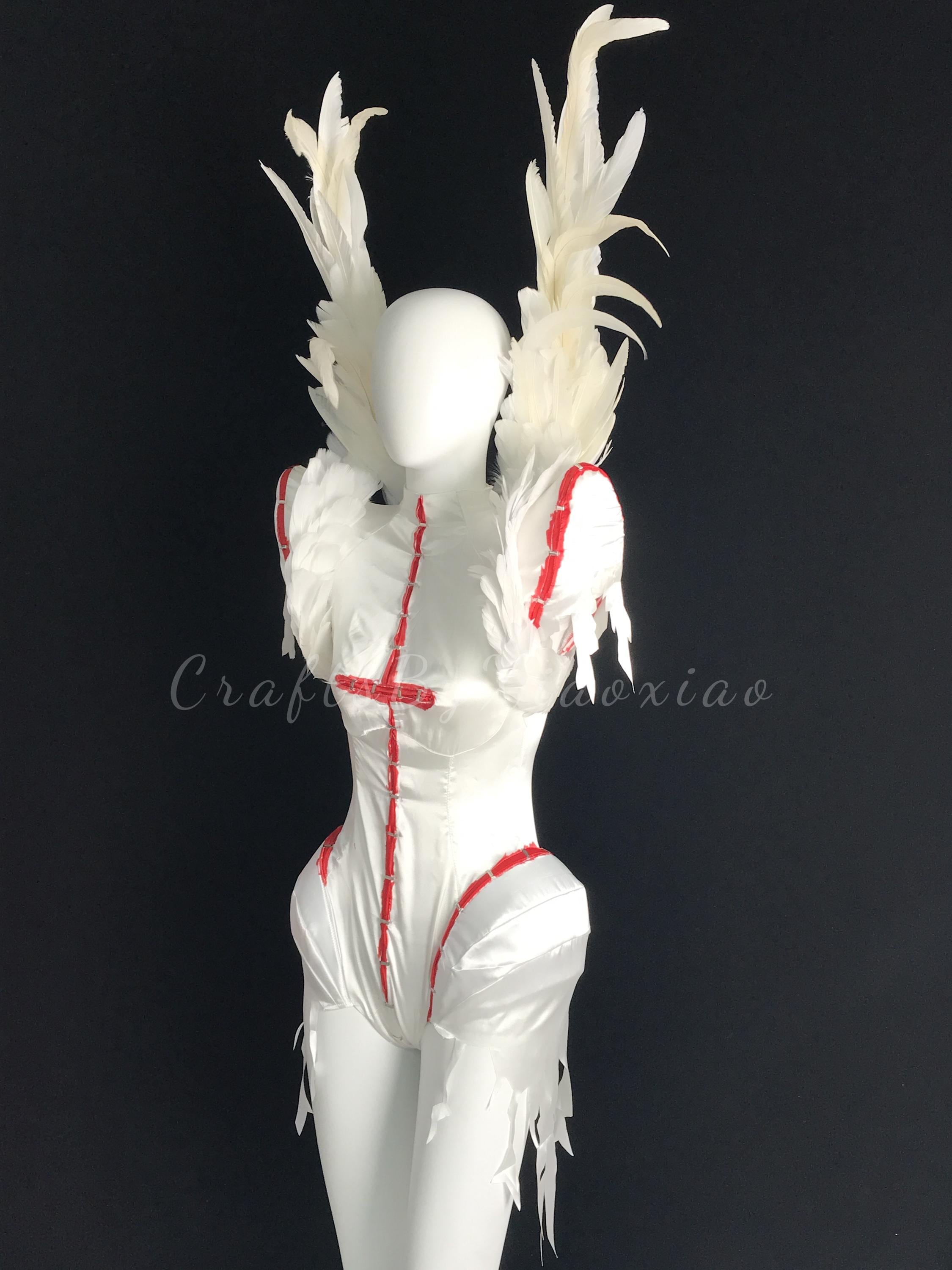 Lady Gaga Meat Dress Halloween