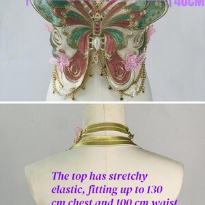 May include: A decorative top with a butterfly design. The top is adorned with pink and green embroidery, gold chains, and pink butterfly accents. The top fits up to a 51-inch chest and a 39-inch waist. The top is 16 inches in height.