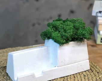 Maceta de hormigón / Maceta minimalista para suculentas con organizador / Decoración moderna para el hogar / Estilo industrial escandinavo