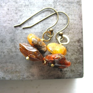 Baltic Amber Gemstone Earrings Jewelry Handmade in USA