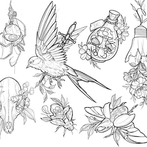 May include: Black and white line art illustrations of various tattoo designs. The designs include a skull with flowers, a bird, a beetle, a lightbulb, and a bottle with mushrooms.