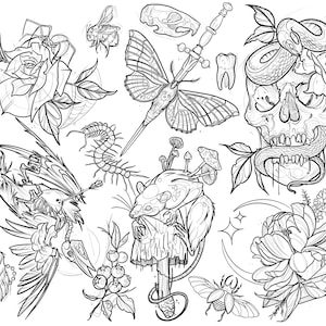 Może przedstawiać: Czarno-biały rysunek różnych wzorów tatuaży, w tym czaszki ze wężem, ćmy, róży, kolibra, grzyba, stonogi, chrząszcza i odcisku łapy.