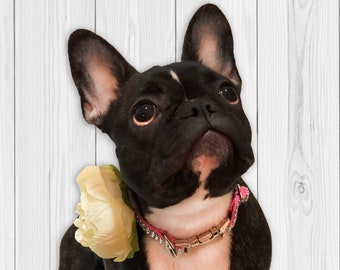 Dog Collar Flower - Ivory Flower Collar Add On Accessory - 4 in. dog collar flower - girl dog collar accessory - large dog collar flower