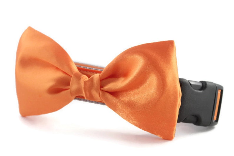 Orange Bow Tie Dog Collar Dog Bow Tie Collar Wedding Etsy