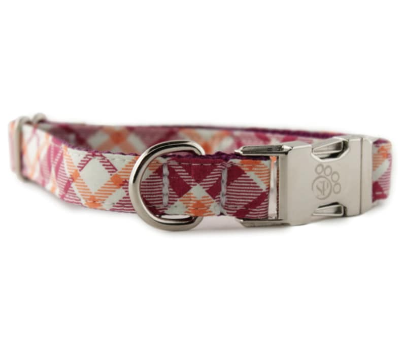 May include: A pink and orange plaid dog collar with a silver buckle and a silver D-ring. The buckle has a paw print logo.