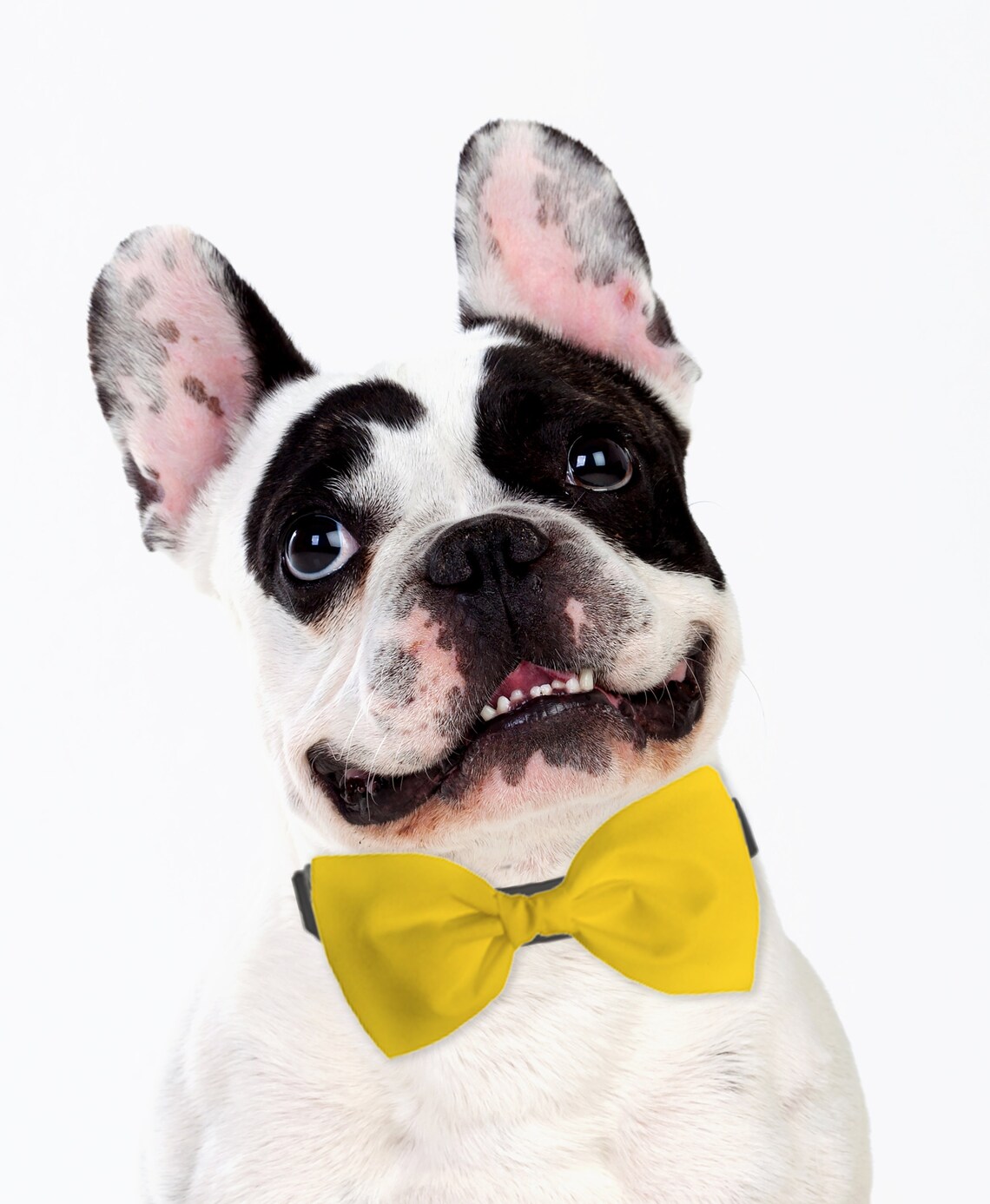 Yellow Dog Bow Tie Formal Bow Tie for Dogs Detachable Dog Etsy