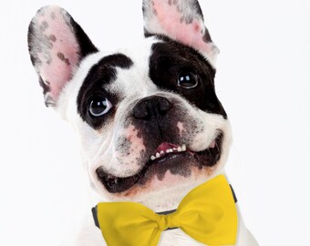 Yellow Dog Bow Tie – Detachable Formal Dog Wedding Attire