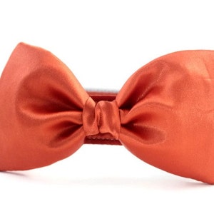 May include: A bright orange satin bow tie attached to a black dog collar.