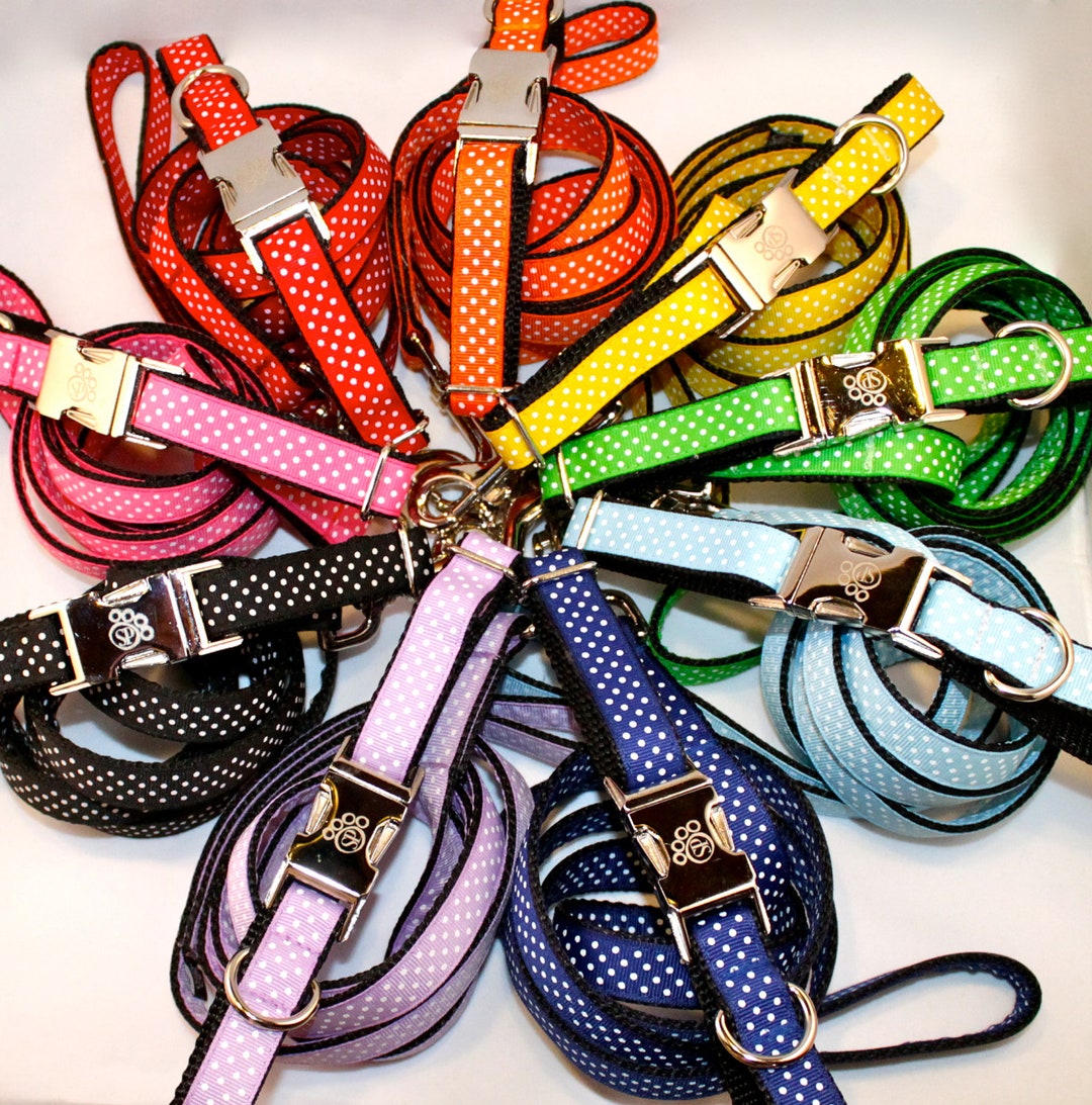 Dog Collar Rainbow Dot Collar and Leash Matching Sets Collar and Leash