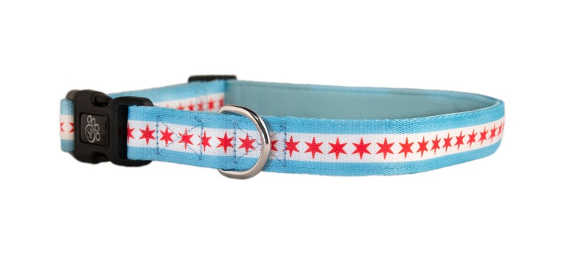 May include: A light blue dog collar with a white stripe and red stars, representing the Chicago flag.