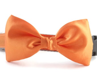 Orange Satin Dog Bow Tie Collar – Wedding Ring Bearer Attire